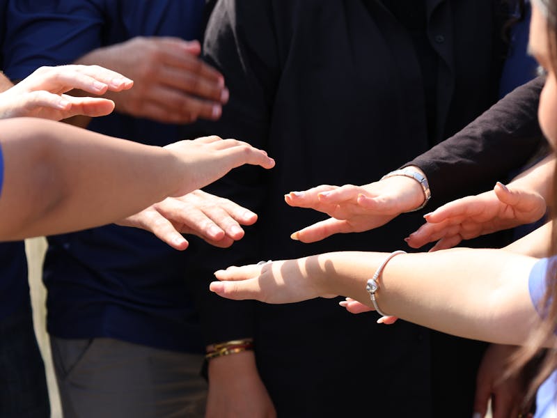 pexels-photo-33996047-1